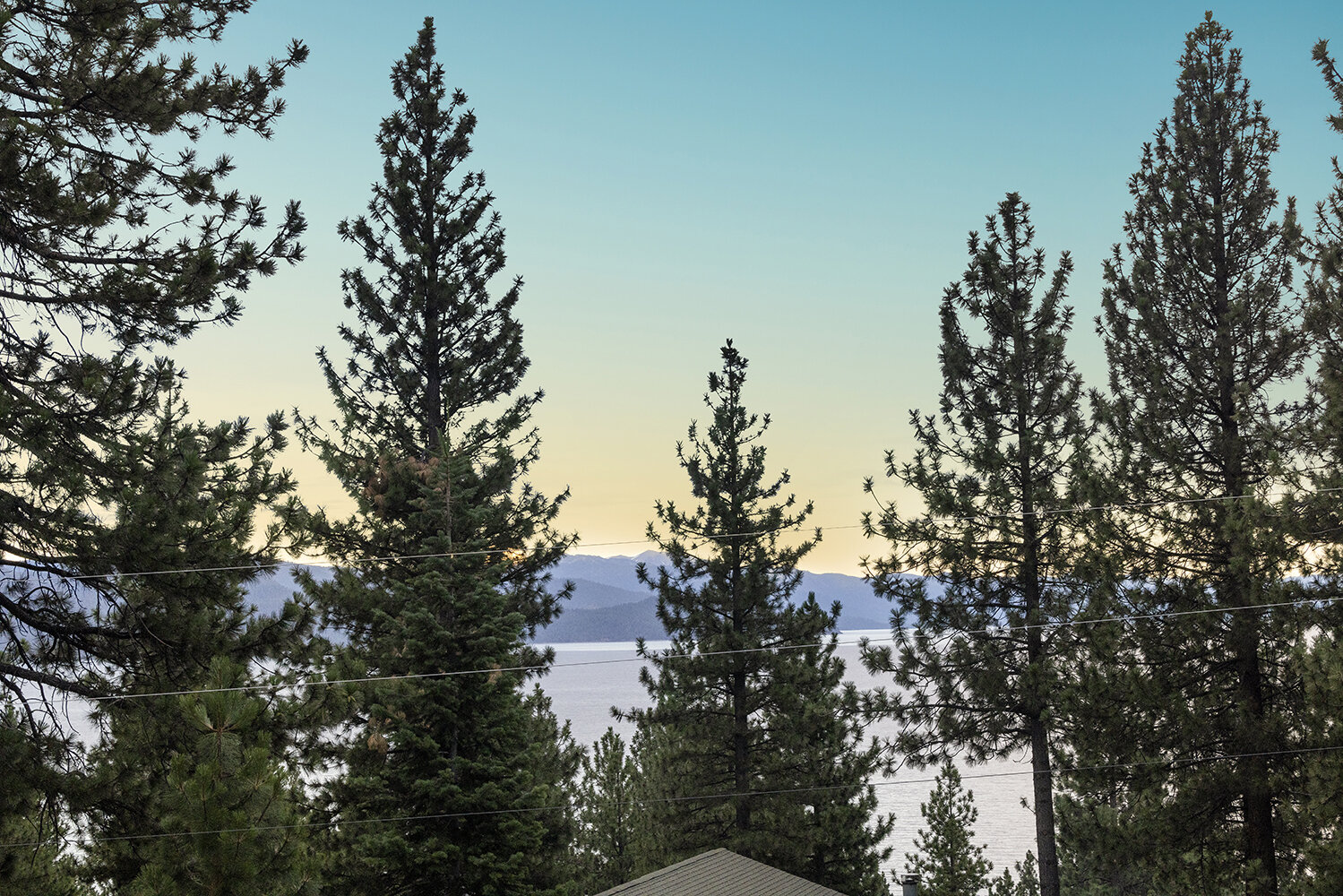 Evening light on Lake Tahoe framed by ponderosa pines